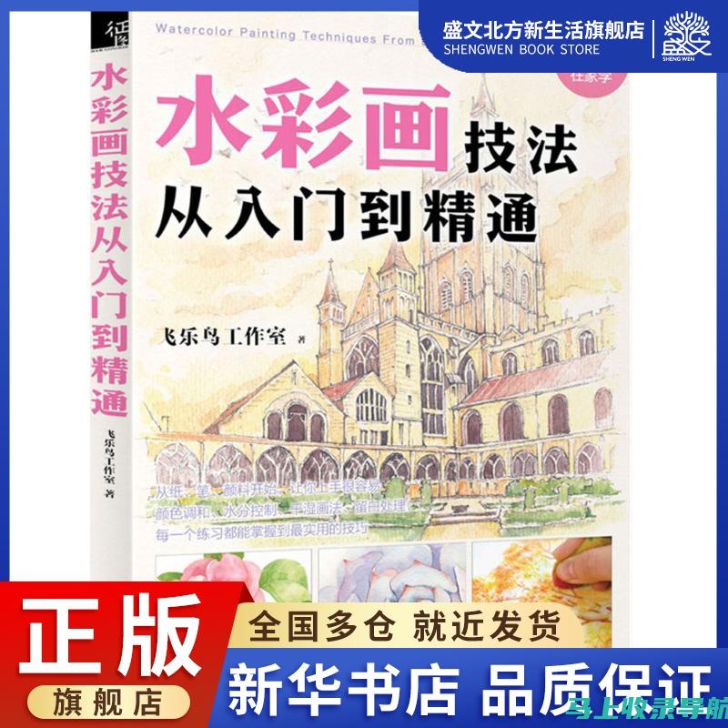 从入门到精通：全面解析网站站长的职责与成长路径