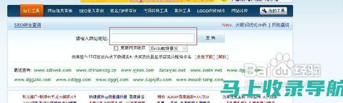 站长工具久的使用技巧与常见问题解答